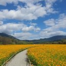 가조힐링랜드 이미지