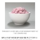 한국의 과학자들이 줄기세포로 벌인 일 이미지