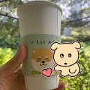 카페콩더하기콩