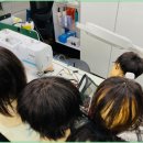 머리나라 이미지