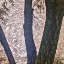 명개리 마을회관 이미지