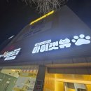 청주고양이카페아이캣유 이미지