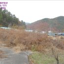 완월동282 이미지