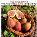 서울파머 | [배송 맛집] 제철과일 무화과 배송 맛집 파머앤피셔맨