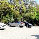 전주비빔밥 낙지볶음 이미지