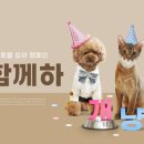 헬로브리더