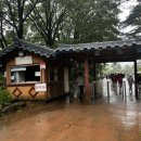 안산소공원 | 설악산 토왕성폭포 비룡폭포 등산코스 방문기⛰️🌿