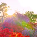 (주)전주시그니처 이미지