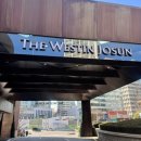 조선만두 | 웨스틴 조선 서울 아리아 뷔페 후기 | 가격·메뉴·예약, 주말 런치 서울 3대 뷔페