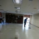 그린세탁크리닝 이미지