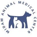 다우동물병원 | OUR｡ :: 안녕, 페페 ｜ 너는 봄날의 햇살같아 ｜ 포인핸드 졸업 끗 ✩ ‧₊ ˚