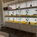 펫퍼스트24시 서울송파점 강아지고양이분양말티푸말티즈푸들 이미지