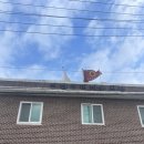 진벌2리 이미지