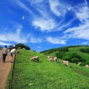 한일목장 이미지