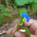 앵봉산생태놀이터 화장실 이미지