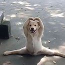 세븐일레븐 영종원룸다와라점 | 日本の一角を飾る私たちになりたい