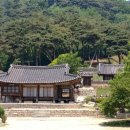 시립가야금연주단 작은 음악회 우리의 이야기 | 생생문화재 '풍류가 흐르는 옛집' 명재고택 작은 음악회
