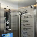 이엘치과병원 | 신탄진 이엘치과병원 | 대전 스케일링 치과