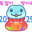 와우펫앤쥬 부산점 네이버블로그