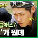 메이84