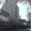 신정중앙로 이미지