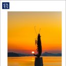 신안힐링 이미지