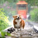 승진운수(주) - 부산진구 서전로37번길 25-9 | 승진운수(주)