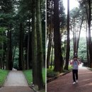 [Travel] 신선도 반할 비경, 양산 홍룡폭포 (덧붙임 : 동산 박종모 형님께는 코멘트로 올립니다) 이미지