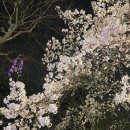 미자식당 이미지