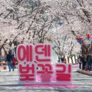 벚꽃길 네이버블로그