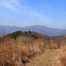 신뱅이 티스토리