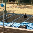 쟁여울황토 이미지