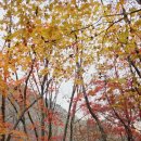 산중문답 99 마음의 뾰루지 시조/반산 한상철 이미지