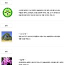 예솔초등학교 이미지