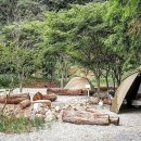 매전농협주유소 이미지