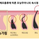 예인미가 이미지