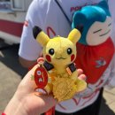 홍's짐 | 2026 포켓몬 런 in Seoul 8km 티켓팅, 굿즈, 완주 후기