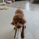 그룸 앤 먼치 이미지