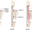 경희탄탄한의원 네이버블로그