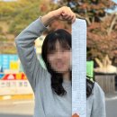 수동농협하나로 마트 이미지