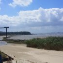 솔나무호스텔 이미지