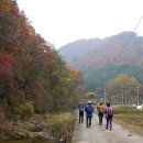 수산리-11 이미지