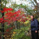 코코스타 이미지