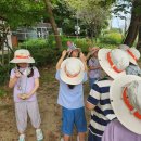 어울림숲어린이집 이미지