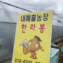 내혜홀농장 이미지