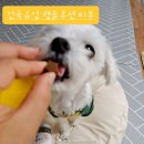체리야피부