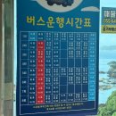 흰작살펜션 | [통영 3박 4일] 뚜벅이로 욕지도에서 살아남기(욕지도 스노클링 스팟 마을버스로 돌기)