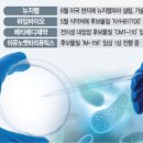 벤바이오