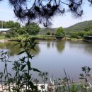 동탄키즈웰소아청소년과의원 이미지