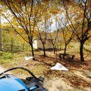 경치농장 이미지